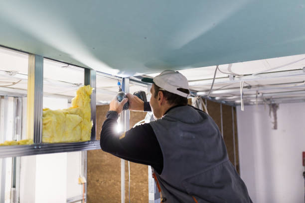 Best Weatherproofing Services  in Toledo, IL