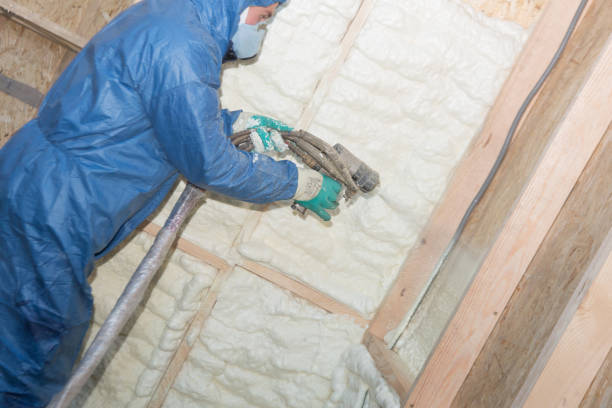 Best Crawl Space Insulation  in Toledo, IL